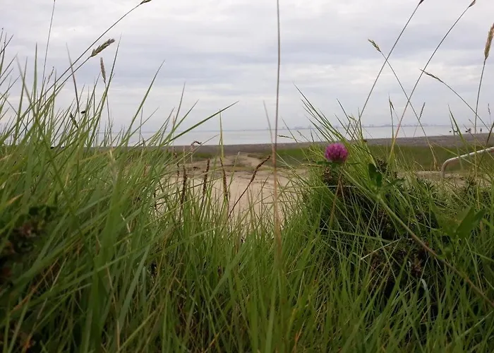 Nyaraló Captain's In Deichgraf